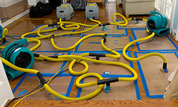 Professional Crawl Space Water Removal technician working in Forestburg, TX